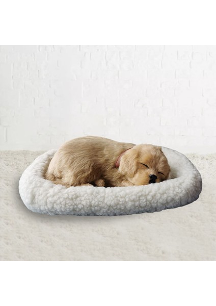 Uyuyan Köpek Peluş Aksesuar - Beyaz (Yurt Dışından) modelleri