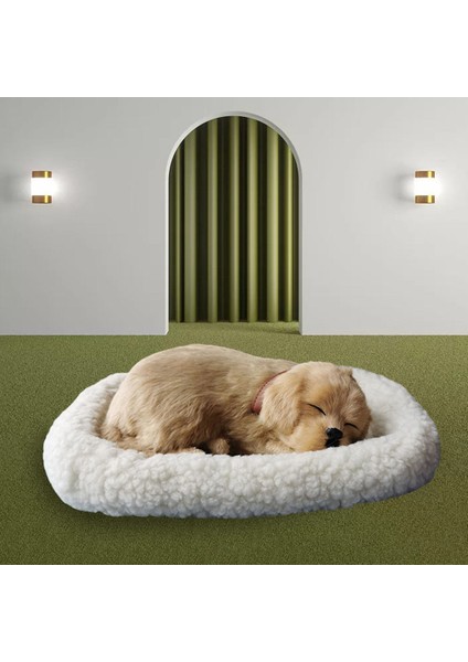 Uyuyan Köpek Peluş Aksesuar - Beyaz (Yurt Dışından) fırsatları