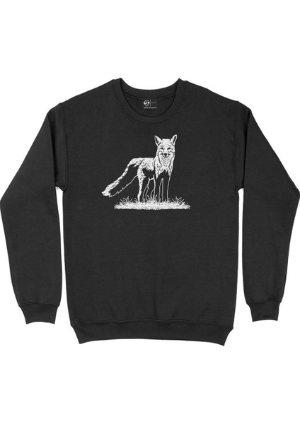 Doğadaki Beyaz Tilki Siyah Sweatshirt