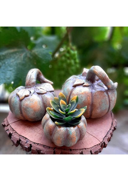 Büyük Boy Bal Kabakları Eskitme