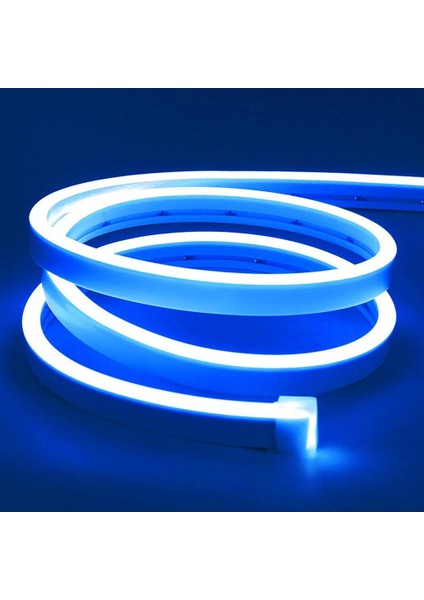 12V Esnek Neon Şerit LED 5 Metre - Mavi