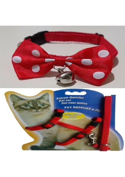Muca Kedi Tasma Seti (Boyun ve Göğüs Tasması)