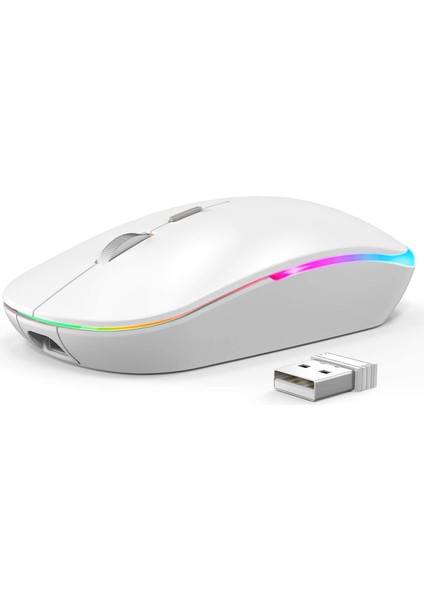 Venta Caliente Rgb Kablosuz Fare, 2.4g Şarj Edilebilir Sessiz Kablosuz Bluetooth Fare, LED Ergonomik Fare (Yurt Dışından)