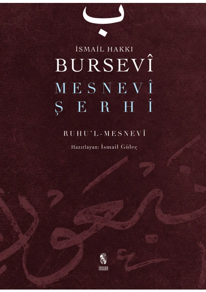 Mesnevi Şerhi - İsmail Hakkı Bursevi