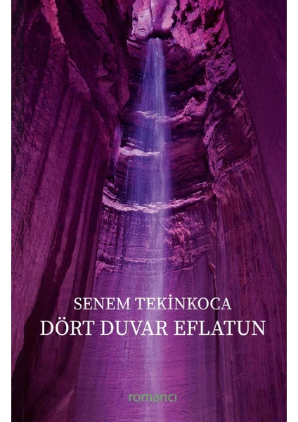 Dört Duvar Eflatun - Senem Tekinkoca