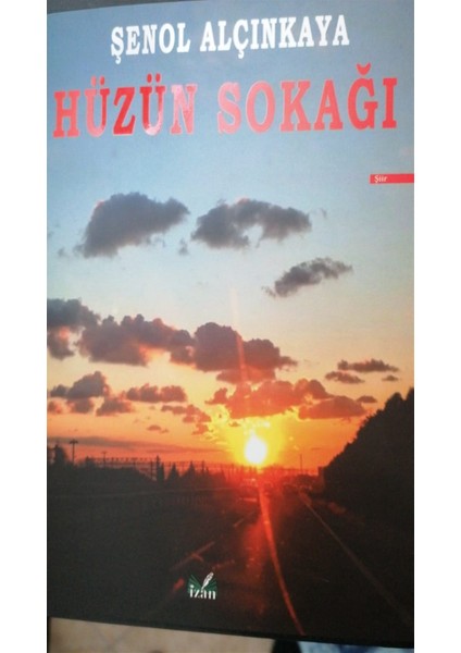Hüzün Sokağı (Şömizli) - Şenol Alçınkaya