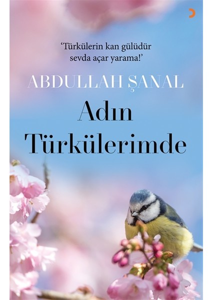 Adın Türkülerimde - Abdullah Şanal