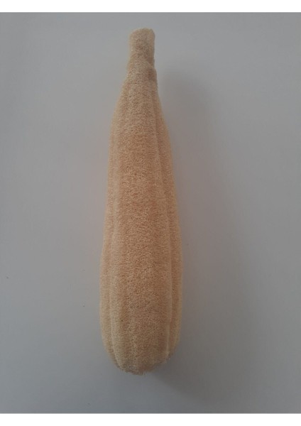 Kabak Lifi Uzunluk 40 cm ile 50 cm Kese Hamam Kesesi
