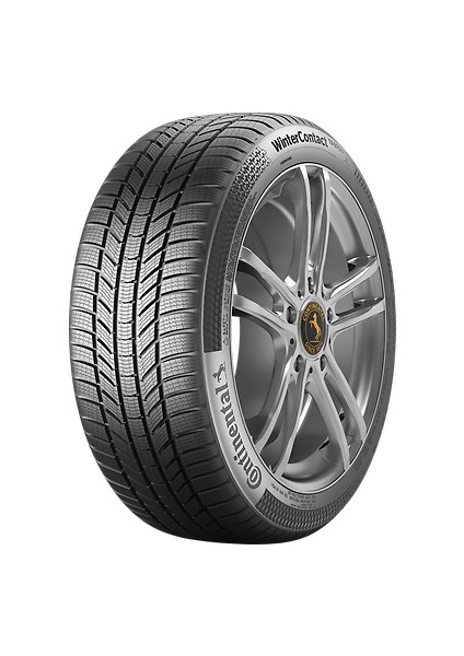 205/50 R17 93H XL FR WinterContact TS870P Oto Kış Lastiği ( Üretim Yılı: 2023 )