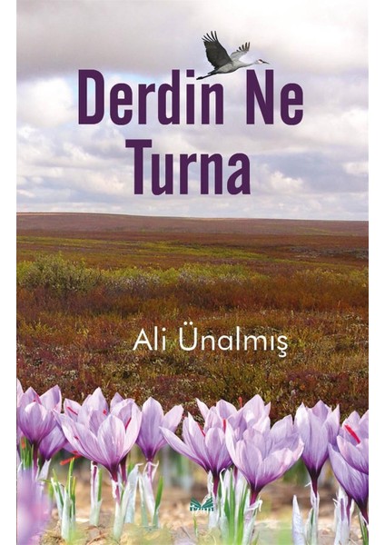 Derdin Ne Turna