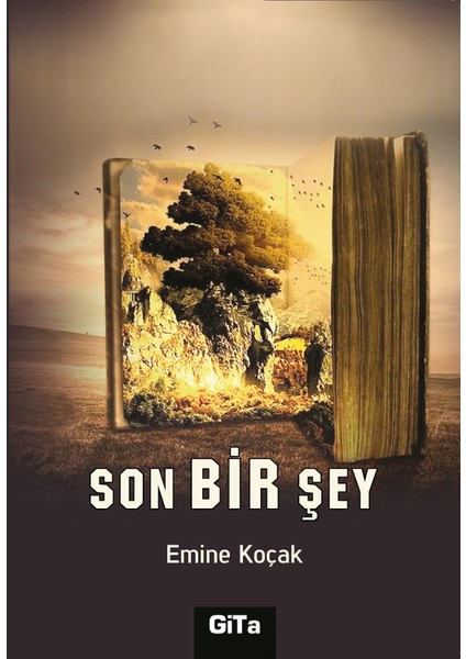 Son Bir Şey