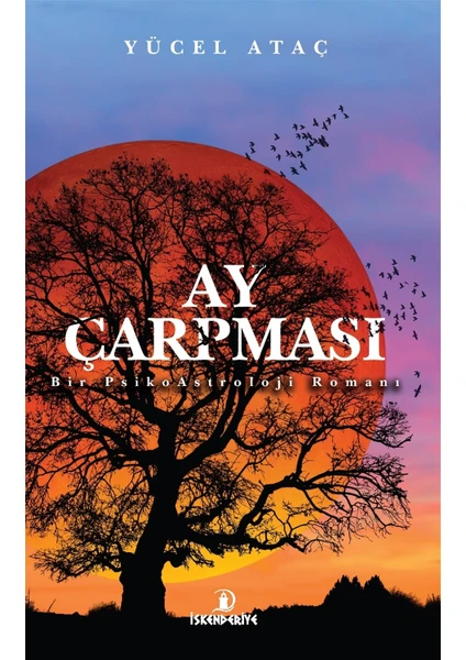 Ay Çarpması - Yücel Ataç