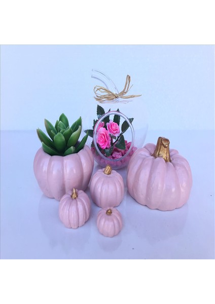 Kabak Saksı Elma Çiçekli Set