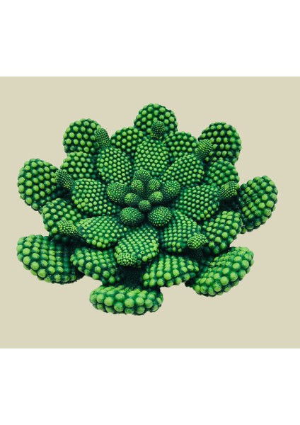 W'clock Dekoratif Duvar Saati