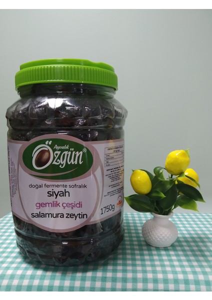1750 gr Salamura Siyah Etli Zeytin