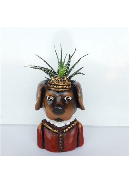 Taçlı Köpek Saksı