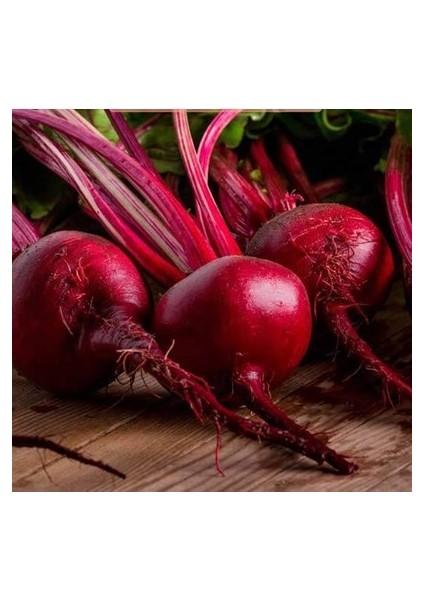 150 Adet Tohum Çok Faydalı Kırmızı Pancar Tohum Kırmızı Pancar Tohumu Yeni Sezon
