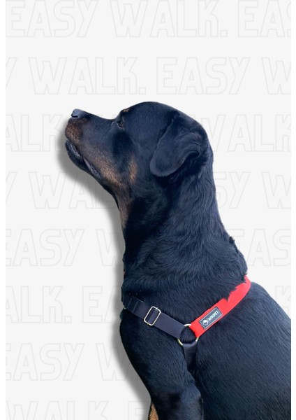 Draco Easy Walk Önden Çekmeli Göğüs Tasması Large fırsatları