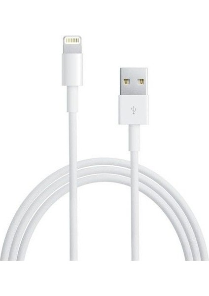 T-01 15,5W Usb=lıghtnıng Tablet Adp.iPad A