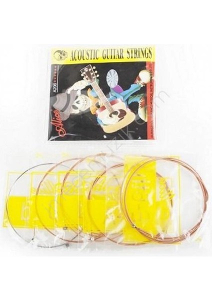 A206-L Akustik Gitar Teli