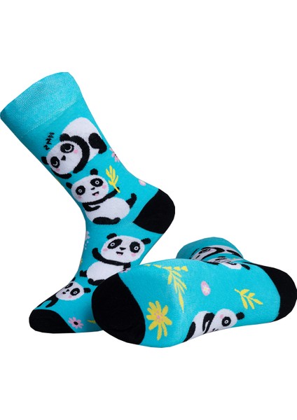 Mutlu & Renkli Desenli 4'lü Panda, Hokey, Zebra, Doğa Desenli Çorap Set