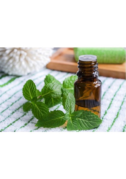 Nane Yağı 20 ml