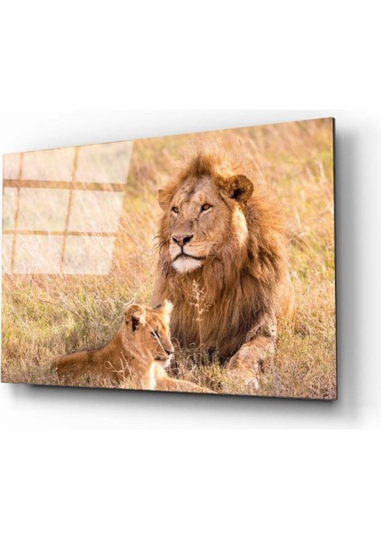 Aslan 7 Cam Tablo