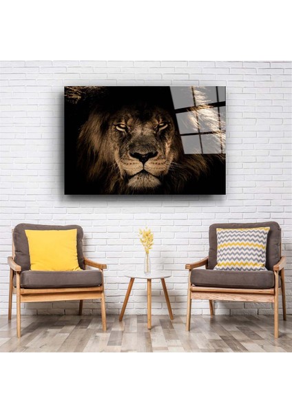 Aslan 1 Cam Tablo fiyatları