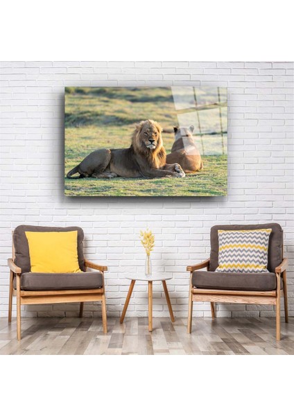 Aslan 3 Cam Tablo fiyatları