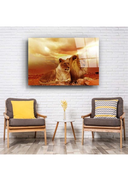 Aslan 4 Cam Tablo fiyatları