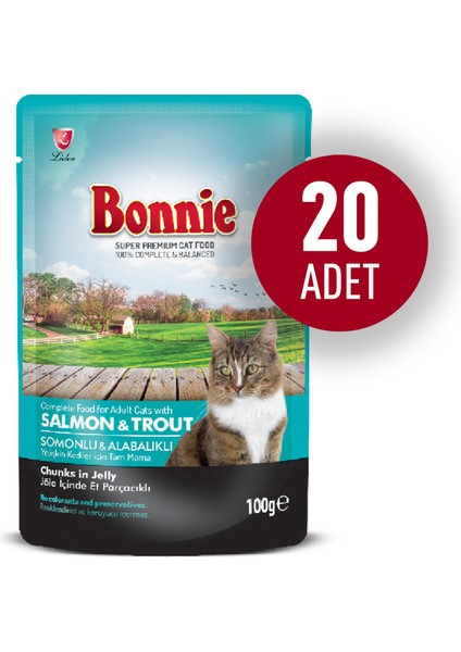 20 Adet Pouch Yetişkin Kedi Maması Somon 85 gr