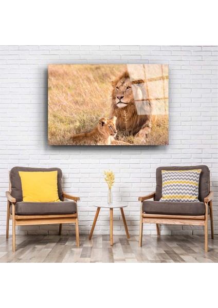 Aslan 7 Cam Tablo fiyatları