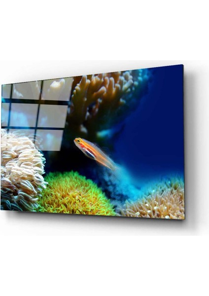 Balık Cam Tablo