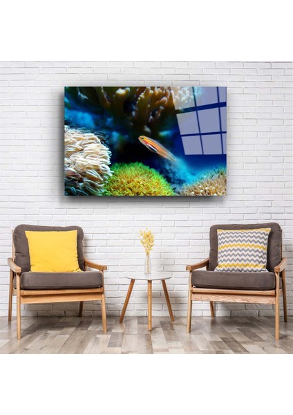 Balık Cam Tablo fiyatları