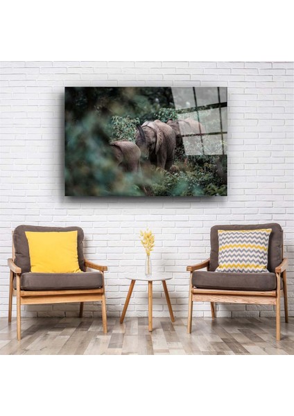 Fil Cam Tablo fiyatları