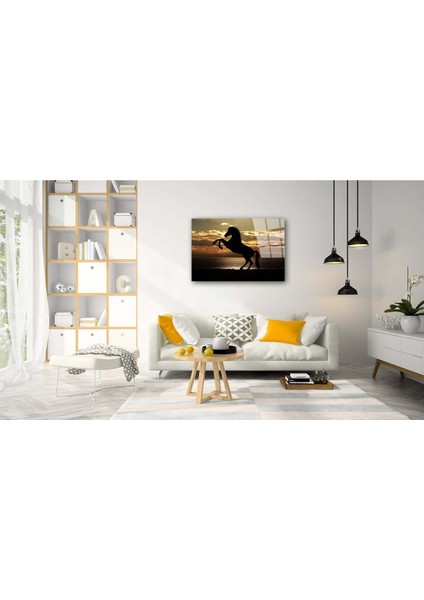 At Cam Tablo fiyatları