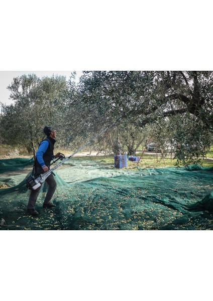 Cifarelli Sc 605 Zeytin Hasat Makinesi