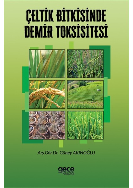 Çeltik Bitkisinde Demir Toksisitesi - Güney Akınoğlu