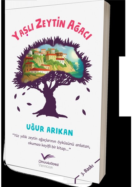 Yaşlı Zeytin Ağacı