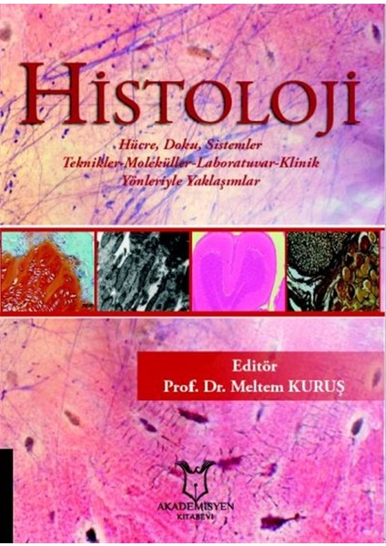 Histoloji - Meltem Kuruş