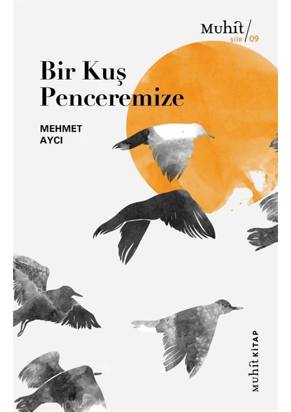 Bir Kuş Penceremize - Mehmet Aycı