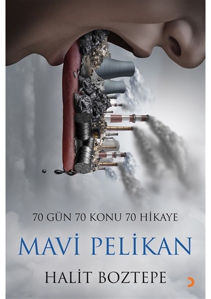 Mavi Pelikan - Halit Boztepe