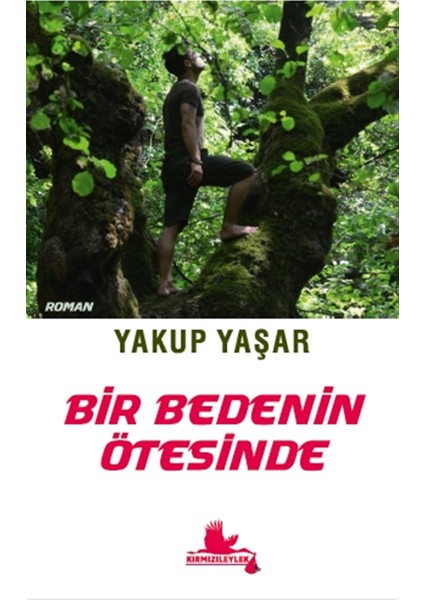 Bir Bedenin Ötesinde - Yakup Yaşar