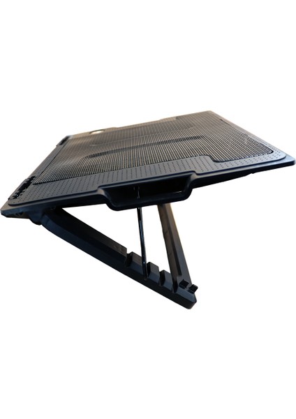 Ergostand M25 Işıklı LED Fanlı Çift USB 2.0 Notebook Soğutucu Fan