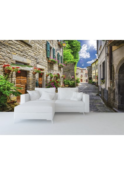 3d Sokak Manzaralı Duvar Kağıdı Tek Parça 315X280 cm TDK6583