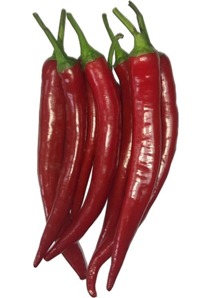 Samandağ Kırmızı Biber (500 gr )