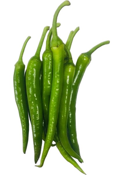 Tatlı Biber (500 gr )