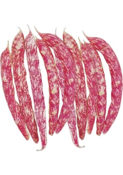 Taze Barbunya (500 gr )