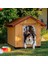 Domus Ahşap Köpek Kulübesi Large 3