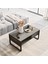 HW34 Hewson Metal Orta Sehpa Raflı Beton 1